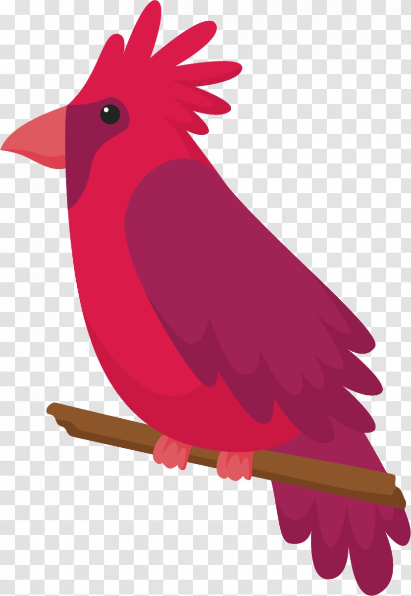 Parrot Bird Illustration - Fauna - Red Crown Of The Big Transparent PNG
