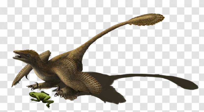 Sinornithosaurus Microraptor Velociraptor Dinosaur Utahraptor - Bird Of Prey - Animals Transparent PNG