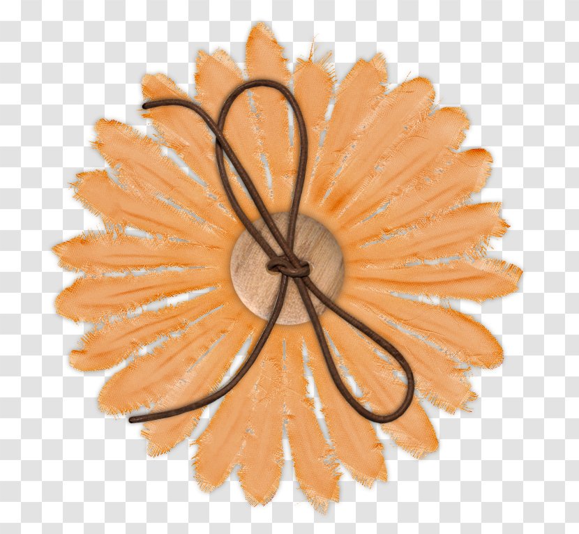 Flower Clip Art - Petal - Orange Transparent PNG