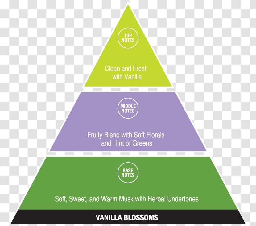 DIKW Pyramid Chart Diagram Infographic Information - Data - Venilla-musk Transparent PNG