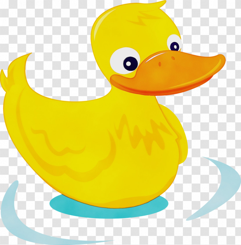 Duck Bird Yellow Ducks, Geese And Swans Water Bird Transparent PNG
