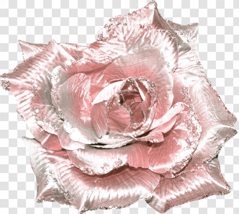 Garden Roses Cut Flowers Centifolia Petal - Plant Stem - Frost Transparent PNG