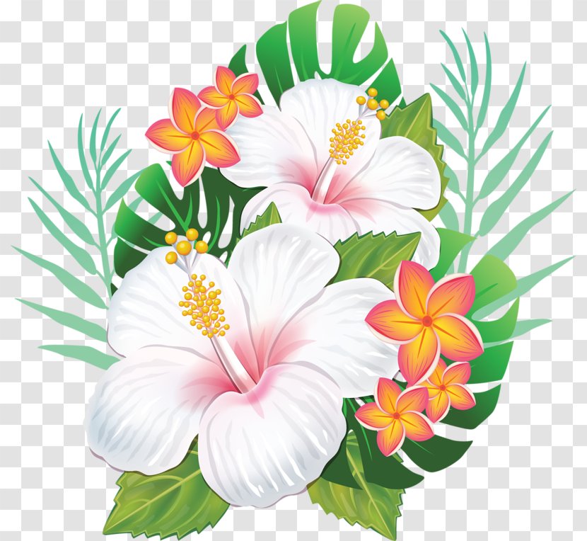 Rosemallows Hawaiian Hibiscus Flower Transparent PNG