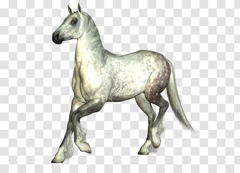 Mustang Stallion Foal Mare Colt - Pack Animal - Cabal Transparent PNG