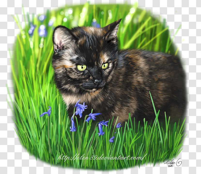 Whiskers Domestic Short-haired Cat Fauna Snout - Carnivoran Transparent PNG