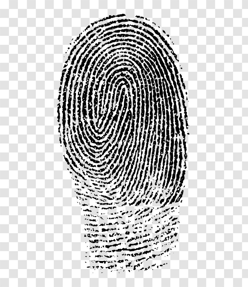 Fingerprint Clip Art - Line - Forensic Science Transparent PNG