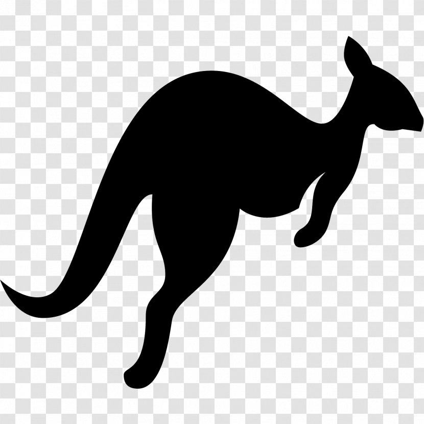 Kangaroo Whiskers Wallaby Reserve Clip Art - Cat Transparent PNG