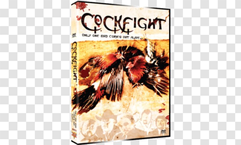 Professional Cockfighting Amazon.com Blu-ray Disc Film - Fauna - Dvd Transparent PNG