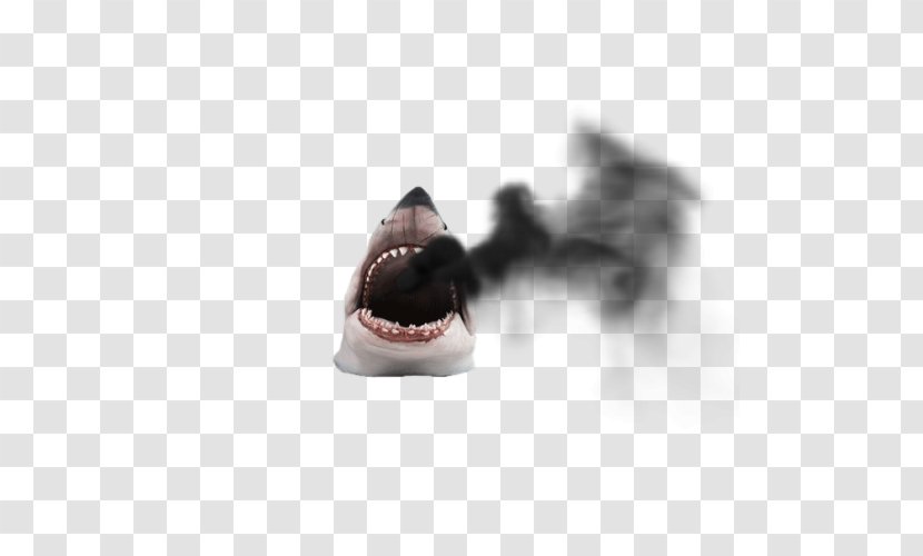 Whale Shark Dog Breed Attack Animal - Black Transparent PNG