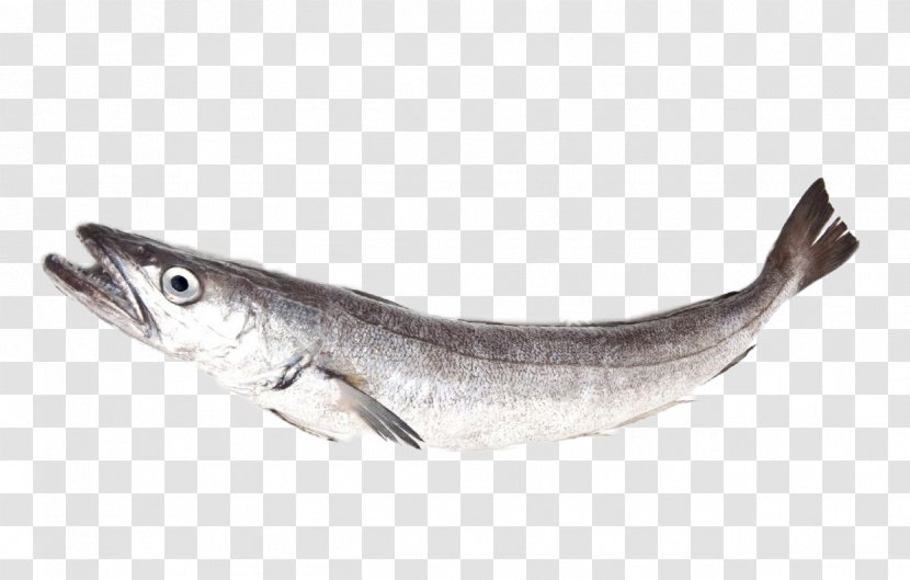 Sardine Merluccius Silver Hake Whiting - Capelin - Fish Takeaway Transparent PNG