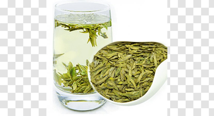 Hōjicha Nilgiri Tea Bancha Sencha - Maofeng Transparent PNG