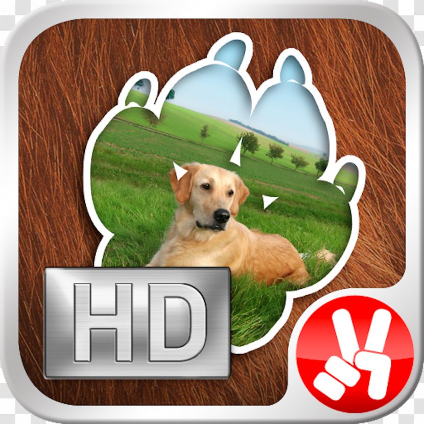 Horse Dog Breed Papa Pear Saga App Store Animal - Like Mammal - Pets Transparent PNG