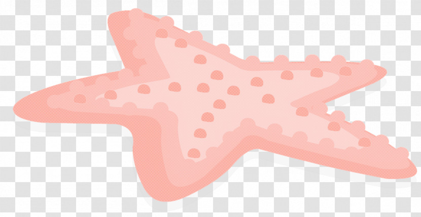 Starfish Logo Cartoon Painting Drawing Transparent PNG