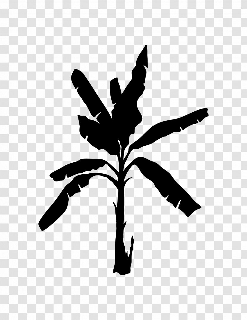 Calligraphy Black & White - Logo - M Clip Art Flower Plant Stem Transparent PNG