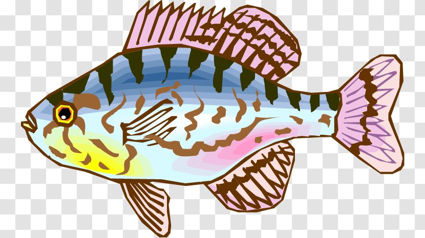 Cartoon Drawing - Seafood - Fauna Transparent PNG