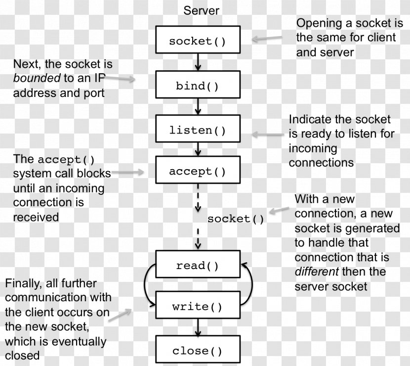 Network Socket Unix Domain Computer Servers File Descriptor Transmission Control Protocol - Brand - Parallel Transparent PNG