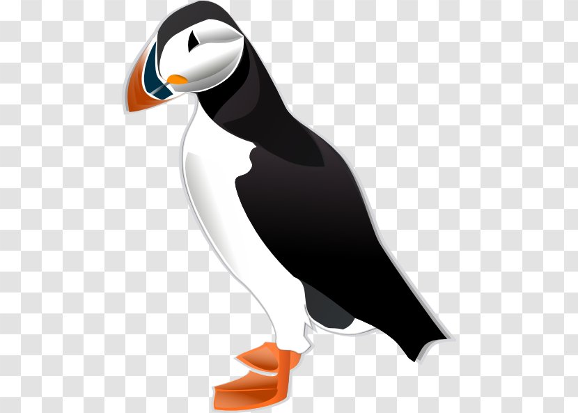 Atlantic Puffin Horned Tufted Clip Art - Seabird - Cliparts Transparent PNG