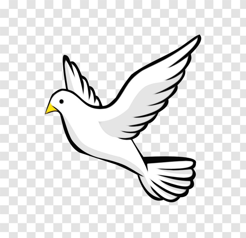Bird Beak White Wing Line Art - Paint - European Herring Gull Logo Transparent PNG