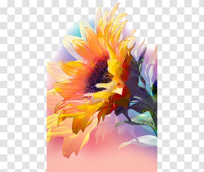 Watercolor Painting Work Of Art Common Sunflower - Dahlia - Ink And Transparent PNG