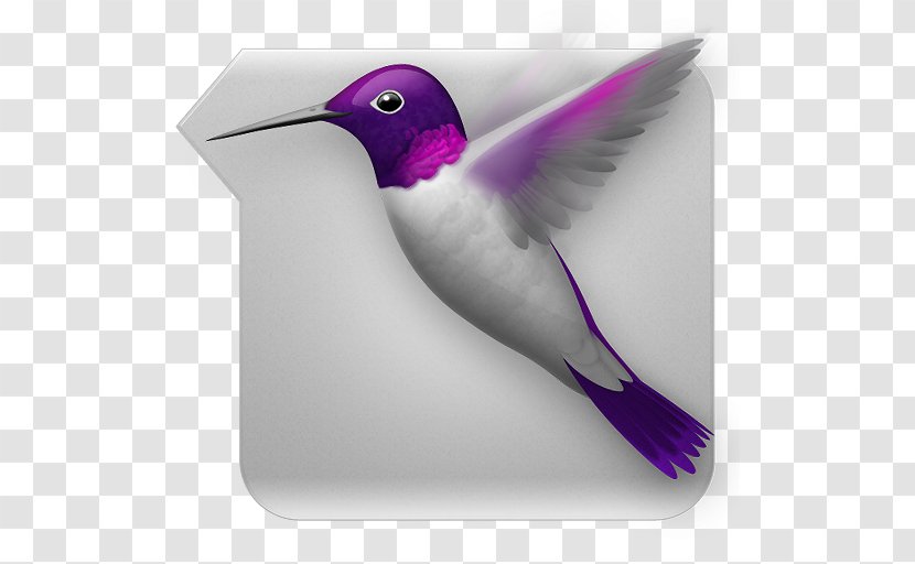 Pull-to-refresh Tweetie Bird - Hummingbird M - Happy Chatting Logo Transparent PNG