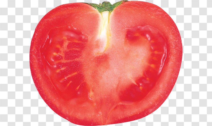 Tomato Vegetable Food Clip Art - Potato And Genus Transparent PNG