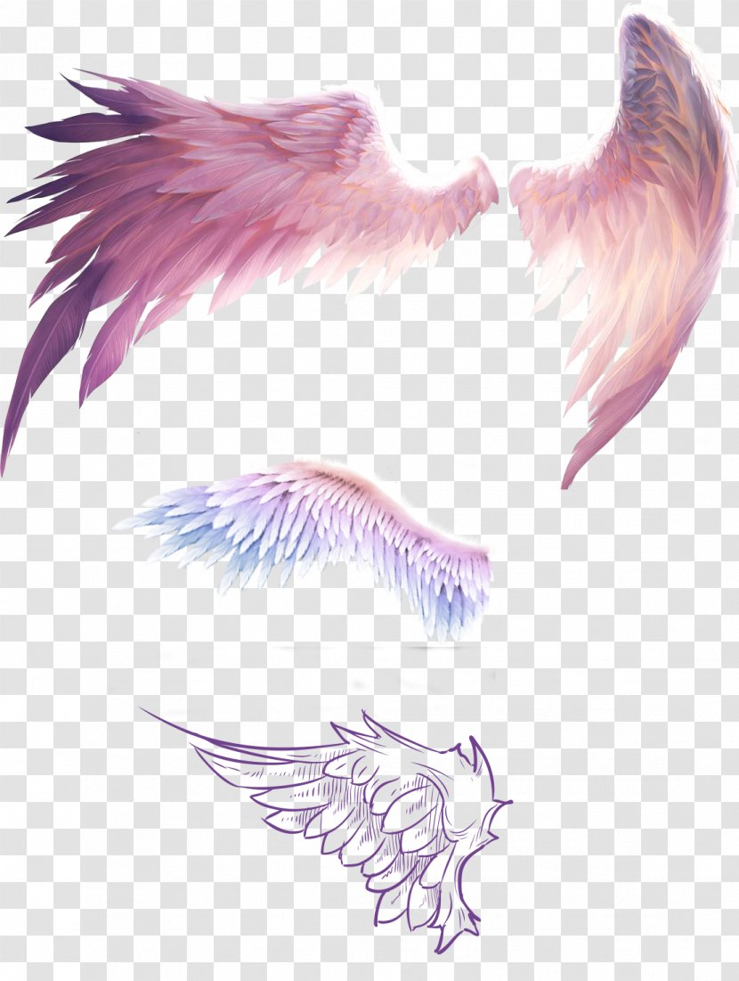 Bird Flight Wing Feather - Cartoon - Fantasy Wings Transparent PNG