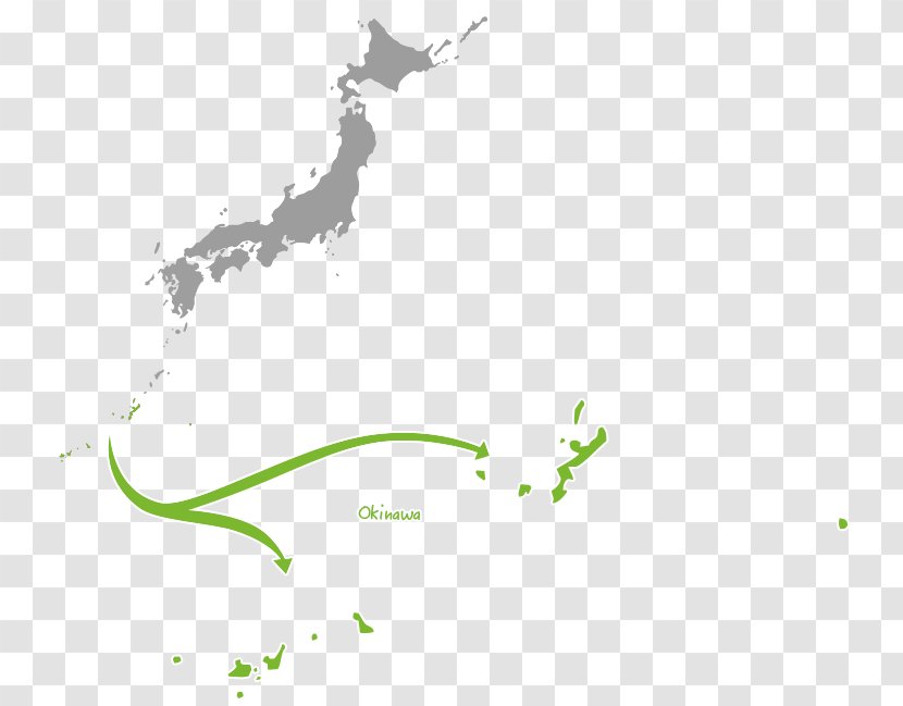 Japan Vector Graphics Image Illustration - Branch Transparent PNG