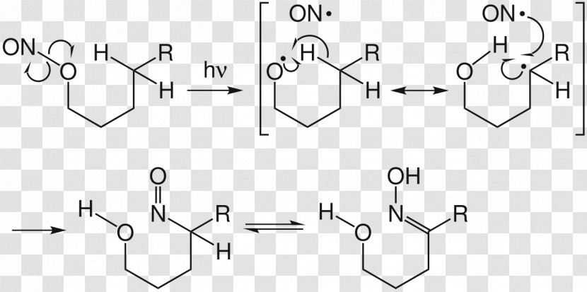 Barton Reaction Chemical Mechanism Keto–enol Tautomerism Chemistry - Tree Transparent PNG