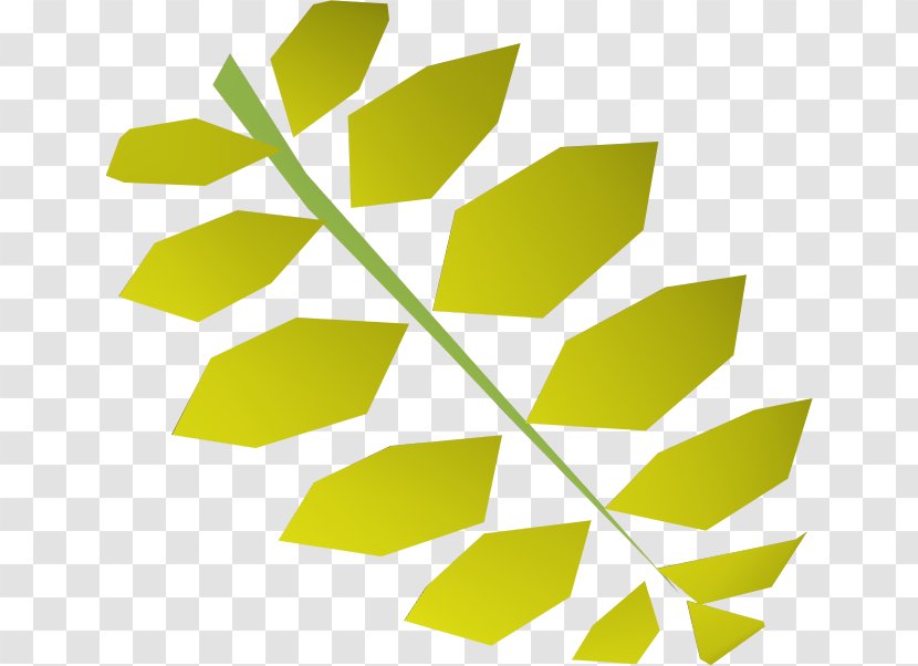 Leaf Green Curry Old School RuneScape Indian Cuisine Tree - Leaves Cliparts Transparent PNG