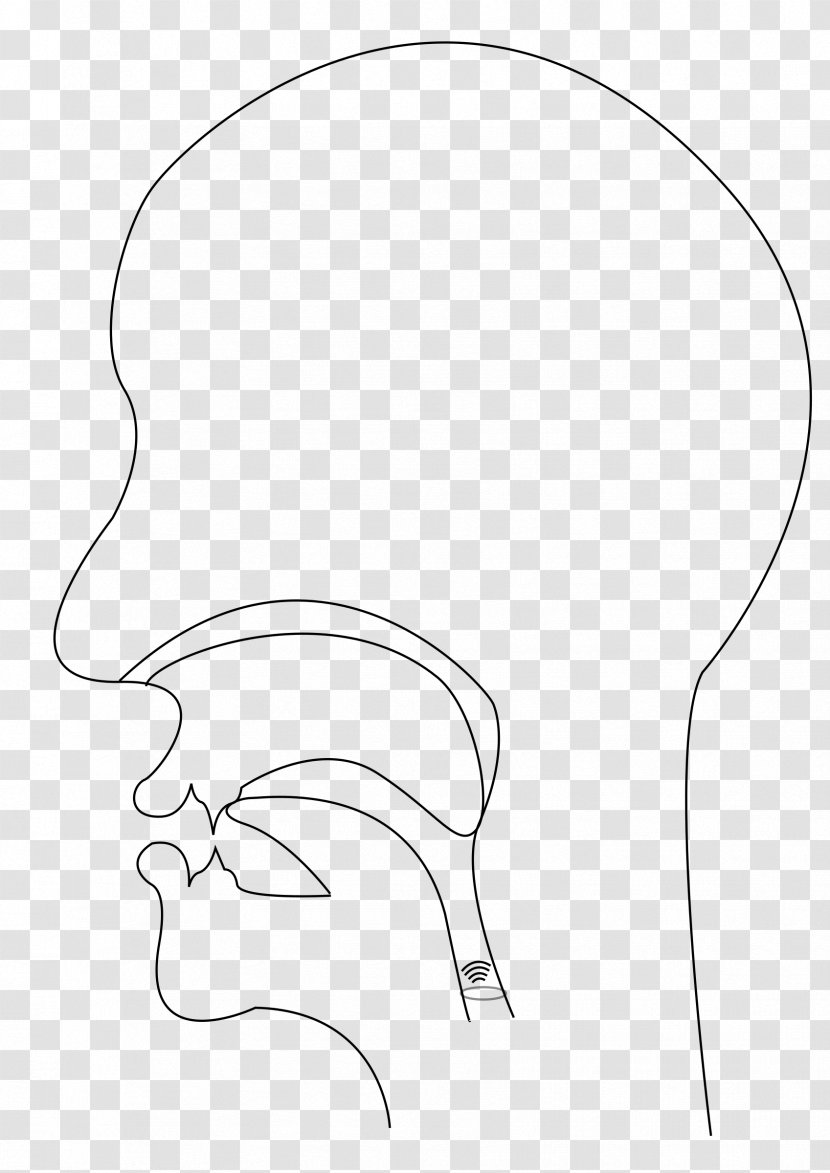Ear Drawing Line Art /m/02csf Clip - Flower - Lateral Vector Transparent PNG