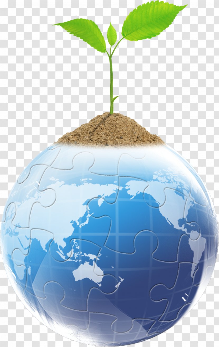 United States Australia Business Organization Company - Globular Earth Long Grass Creative Leaves Transparent PNG