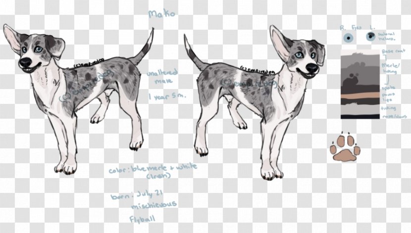 Dog Breed Drawing /m/02csf Transparent PNG