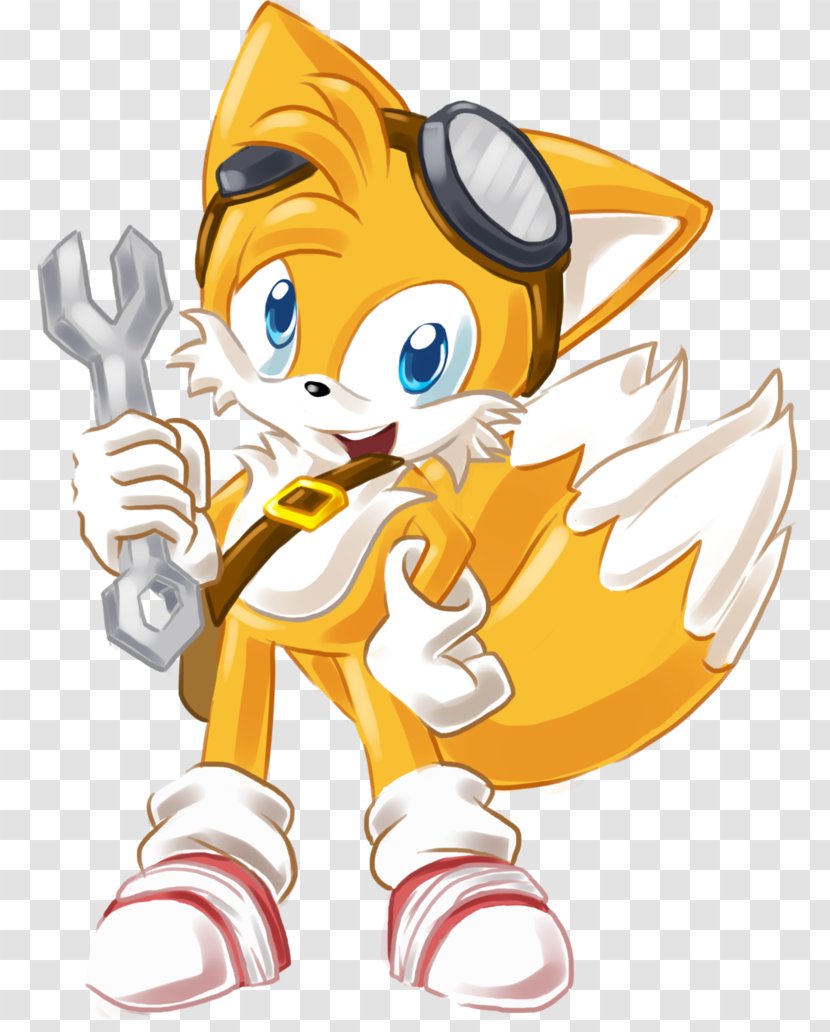 Tails Sonic Boom: Rise Of Lyric Chaos Sticks The Badger Fox - Cartoon Transparent PNG