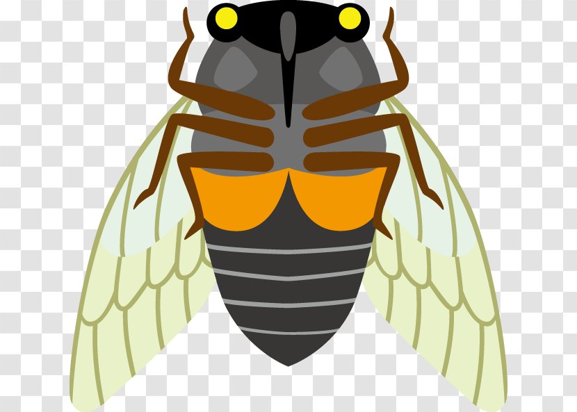Honey Bee Clip Art - Membrane Winged Insect Transparent PNG