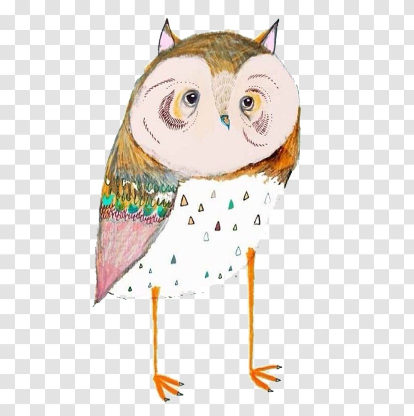 Owl Painting Art Drawing Illustration Transparent PNG