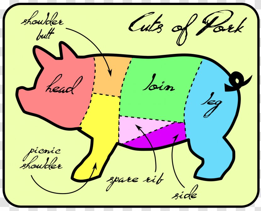 Bacon Barbecue Domestic Pig Pork - Shoulder Transparent PNG