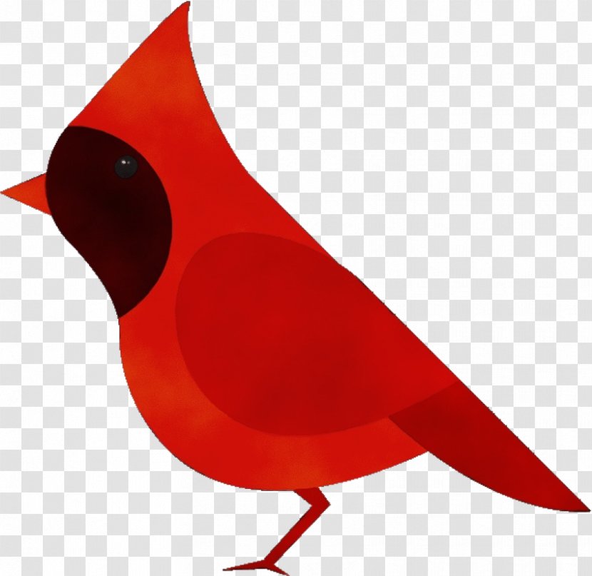 Bird Red Beak Cardinal Songbird - Paint - Perching Transparent PNG