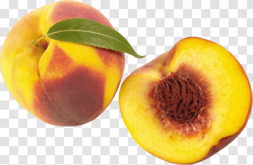 Desktop Wallpaper Image Fruit Clip Art - Superfood - Watercolor Peach Transparent PNG