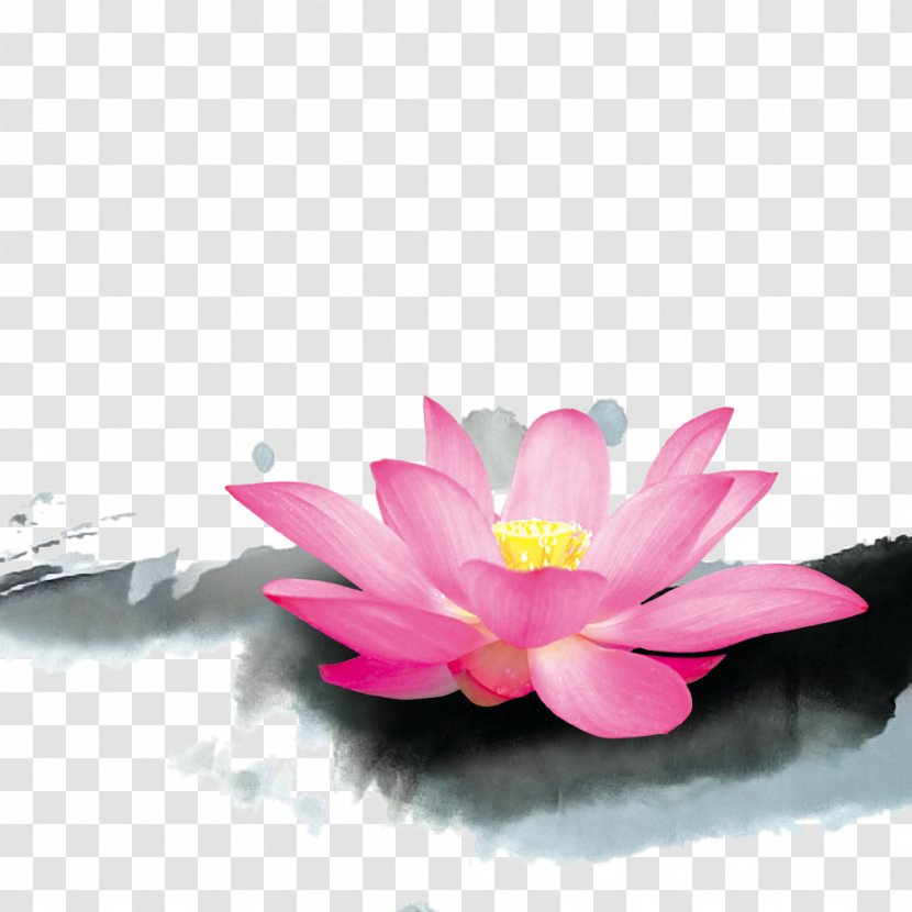 China Lotus Cars Nelumbo Nucifera Budaya Tionghoa Inkstick - Flora - Hand Painted Watercolor Transparent PNG