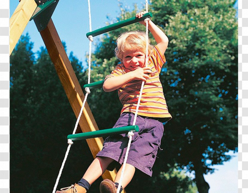 Jungle Gym Swing Ladder Fitness Centre Playground - Child Transparent PNG