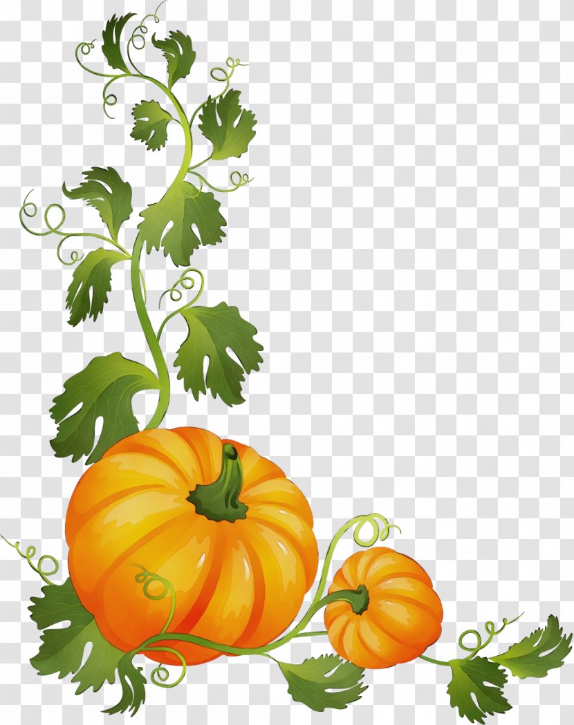 Halloween Pumpkin Cartoon - Wet Ink - Herb Calabaza Transparent PNG
