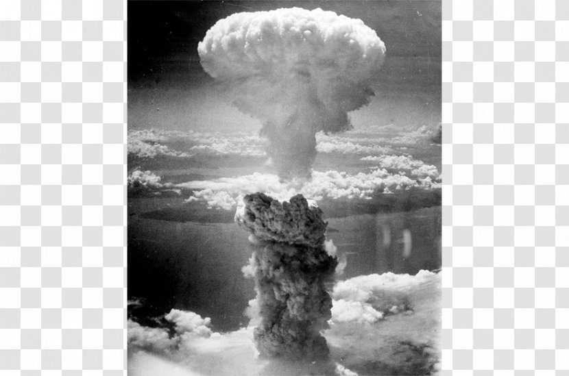 Second World War History Atomic Bombings Of Hiroshima And Nagasaki United States American Civil - Flower - Stalin Transparent PNG