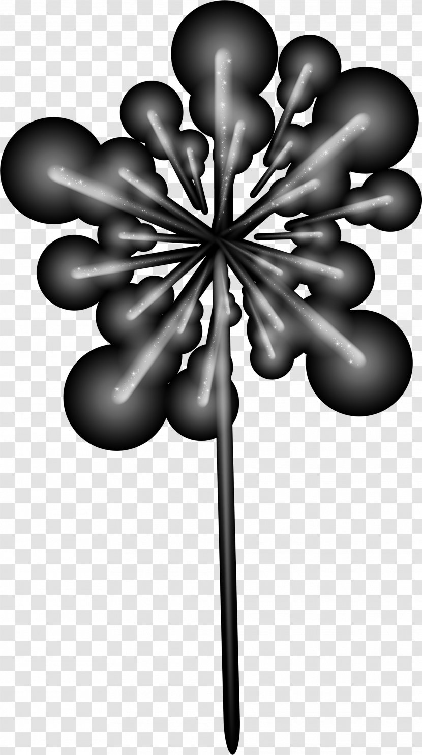 Black And White Graphic Design Fireworks - Flora - Dream Transparent PNG
