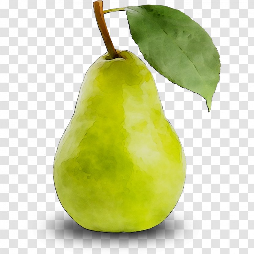 Pear Still Life Photography Apple Fahrenheit - Woody Plant Transparent PNG