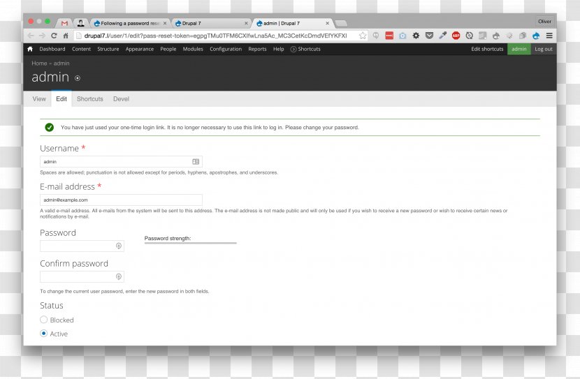 Web Page Computer Program Multimedia Screenshot Software - Password Transparent PNG