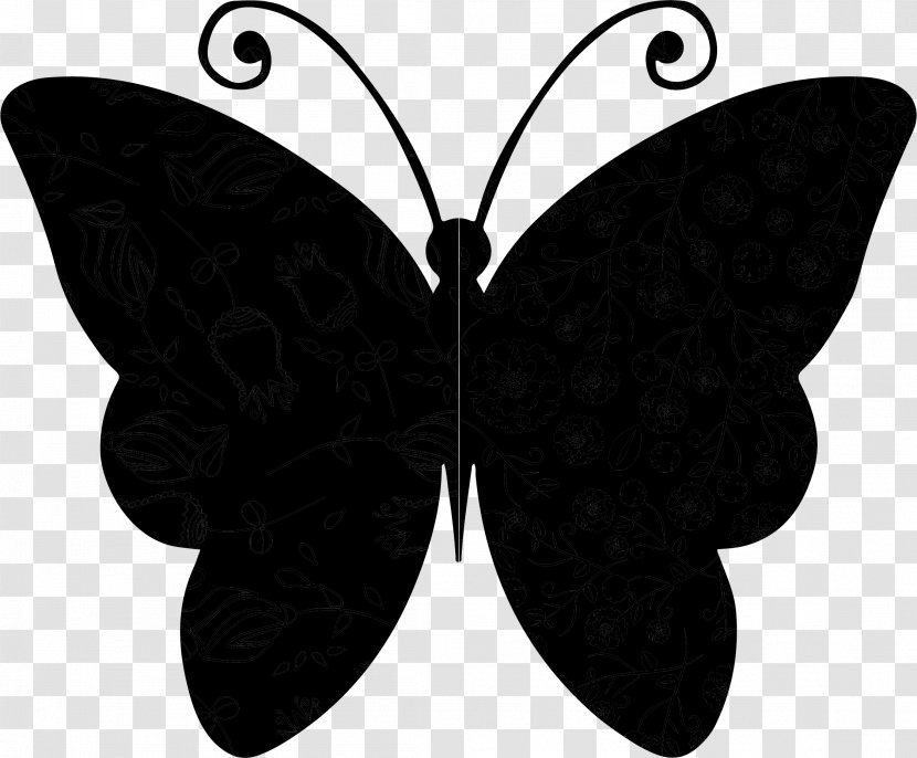 Monarch Butterfly Insect - Drawing - Monochrome Photography Transparent PNG