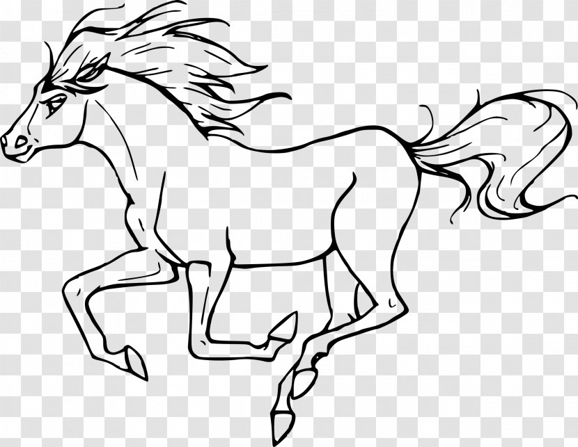 Mustang Coloring Book Pony Equestrian Adult - Horse Head Mask Transparent PNG