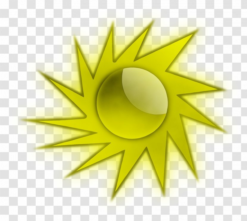 Sun Drawing - Sunlight - Symbol Plant Transparent PNG