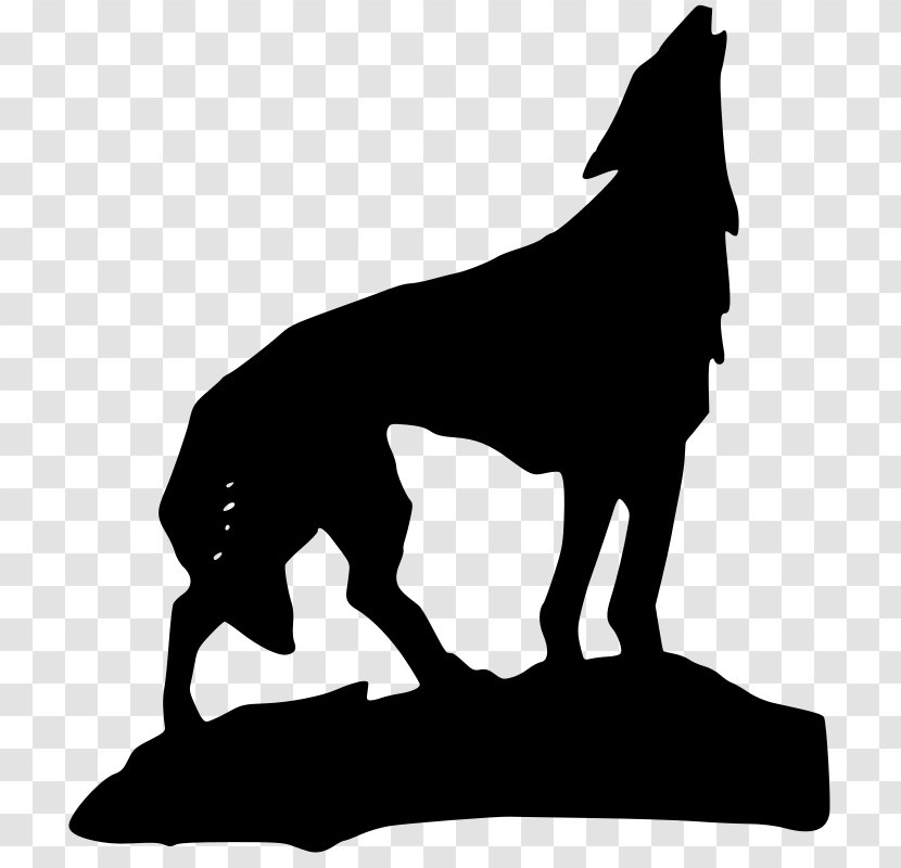 Gray Wolf Coyote Aullido Clip Art - Drawing - Wolof Transparent PNG