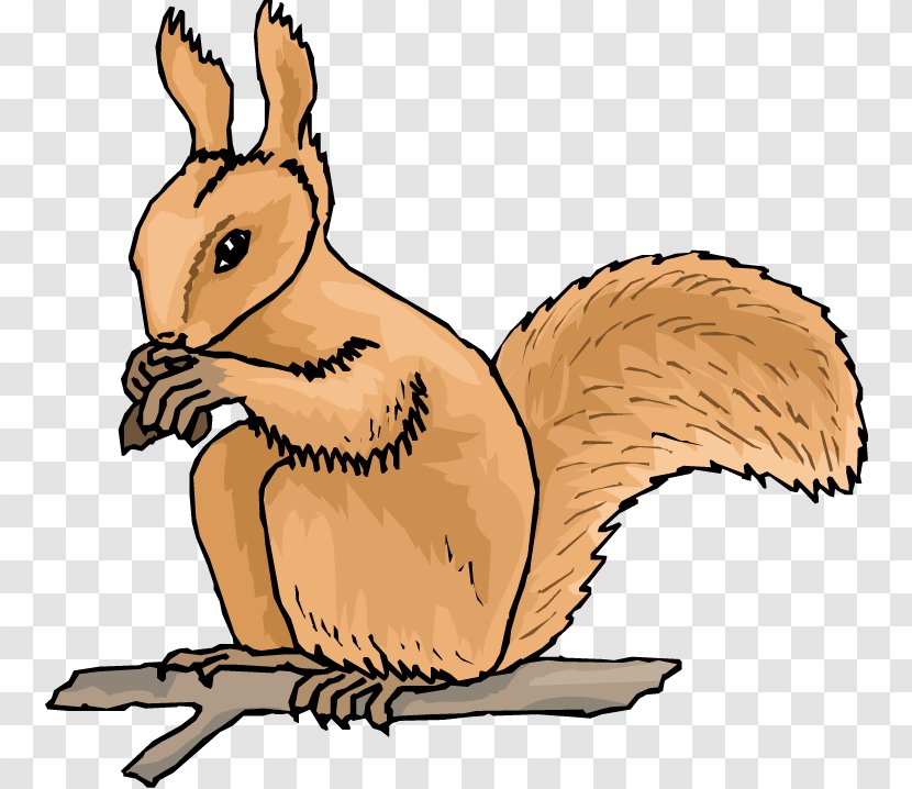 Squirrel Free Content Clip Art - Mammal - Woodchuck Clipart Transparent PNG